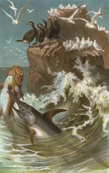 Schwertfisch